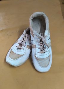 Men Shoe