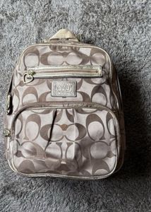 The Rare Vintage Coach Bag For Sale