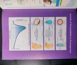 LANGMAN HUMAN EMBRYOLOGY