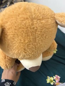 Cute Brown Teddy Bear