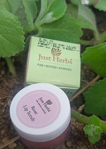 JUST HERBS LIP SCRUB