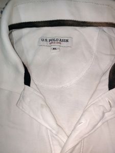 Regular Fit Brand  Print Polo Tshirt With Contrast