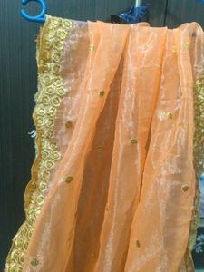 Elegant Peach Organza Duppta