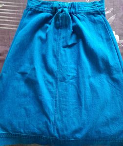 Sassafras Regular Denim Skirt
