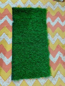 Grass Carpet