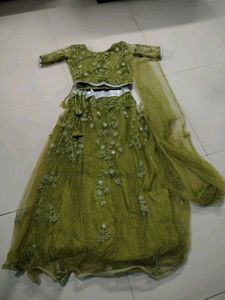 Elegant Green Embroidered Lehenga Choli Set