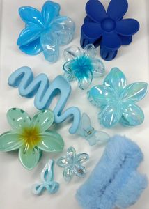 Pink Hair Clip Bundle