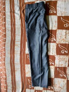Marco Polo Party Wear Pant