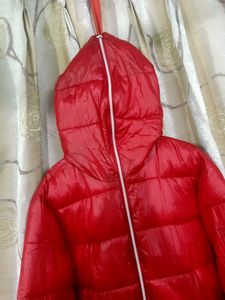CHERRY 🍒 RED PUFFER