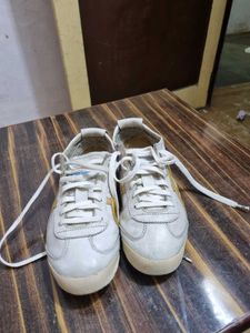 These  are 100%  original  tiger shoes