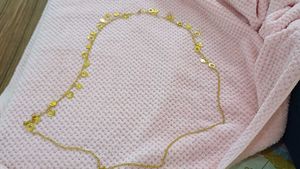 Chic Gold waist band