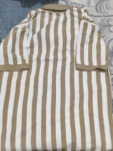 Striped Polo Shirt
