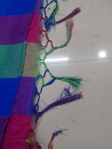 Striped Colorful Saree