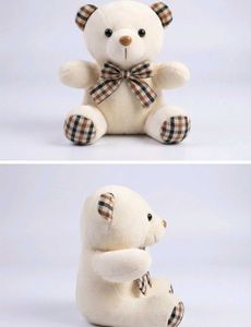 Cute Plush Teddy Bear ( cash preferred)