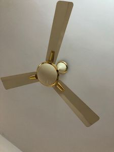 Ceiling Fan
