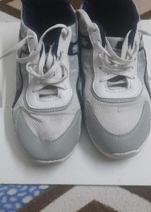 Gray &amp; White Fashion Sneakers