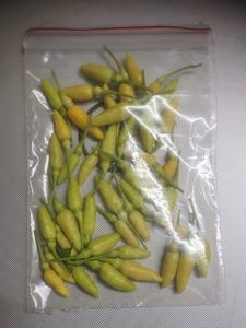 Bird Eye Chilli (Kanthari Mulaku)- Homegrown