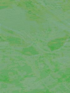 Green Silk Kurti