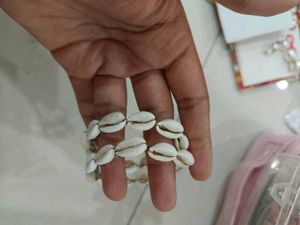 Cowrie Shell Earrings from Everstylish