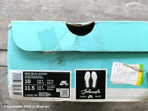 Nike SB Allyoop Original Pairs