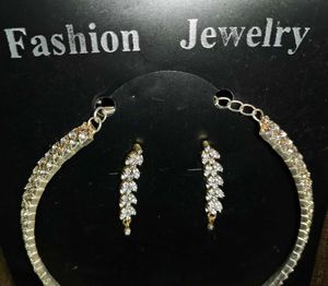 Silver Choker &amp; Earring Set