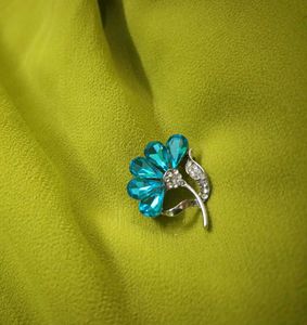 Vintage Brooch Saree