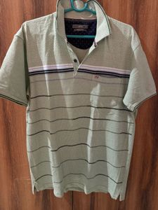 Mens Collar Tshirt