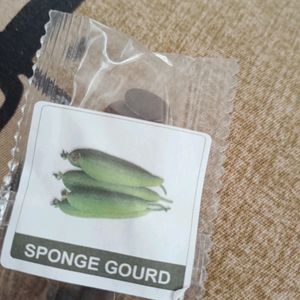 Different Gourds Seeds