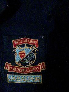 School Ka Blazer Navy Blue Color K
