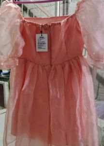 Pink Organza Puff Sleeve Dress