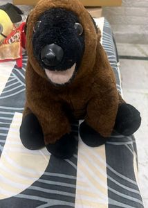 Cute Plush Bear