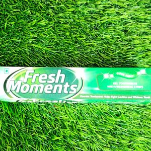 Fresh Moments Gel Toothpaste