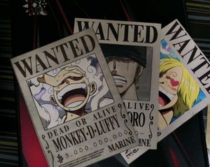 One Piece Wanted Posters (3)
