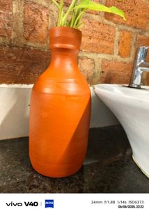 Lifestyle Pot
