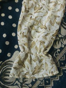 Women Shots  Sheer Brown, Beige Dress