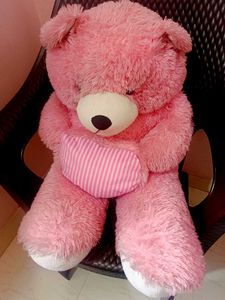 Pink Teddy