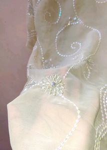 Cream Sequence And Stone Saree