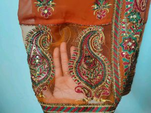 Orange Embroidered Paisley Saree