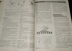 Basics Of Medical Physiology 4 Venkatesh &amp; Sudhaka