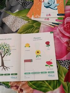 Prep/Nursery Kids Books