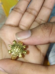 Tortoise Ring