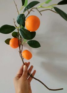 Home Centre&#39;s  Orange And Pomegranate Sticks