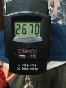 R.D. Sharma Math Books - Class IX &amp; X