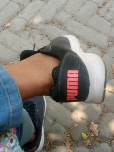 Puma Fit+ Branded Shoes