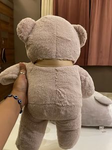 Cute Teddy Bear Duo