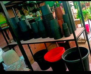 10 Pots 6 Inch 1 Kg Vermi compost,