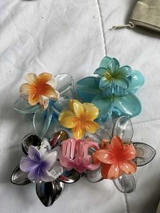 Daisy Claw Clip 🎀