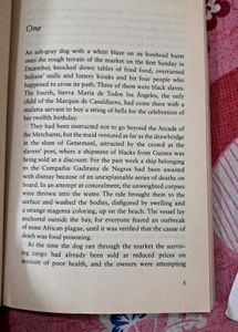 Of Love and Other Demons - Gabriel Garcia Marquez