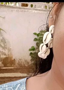 Seashell Earrings