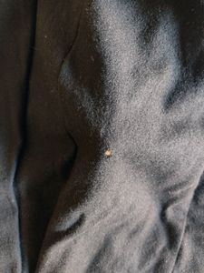 Women's Black Winter Dress